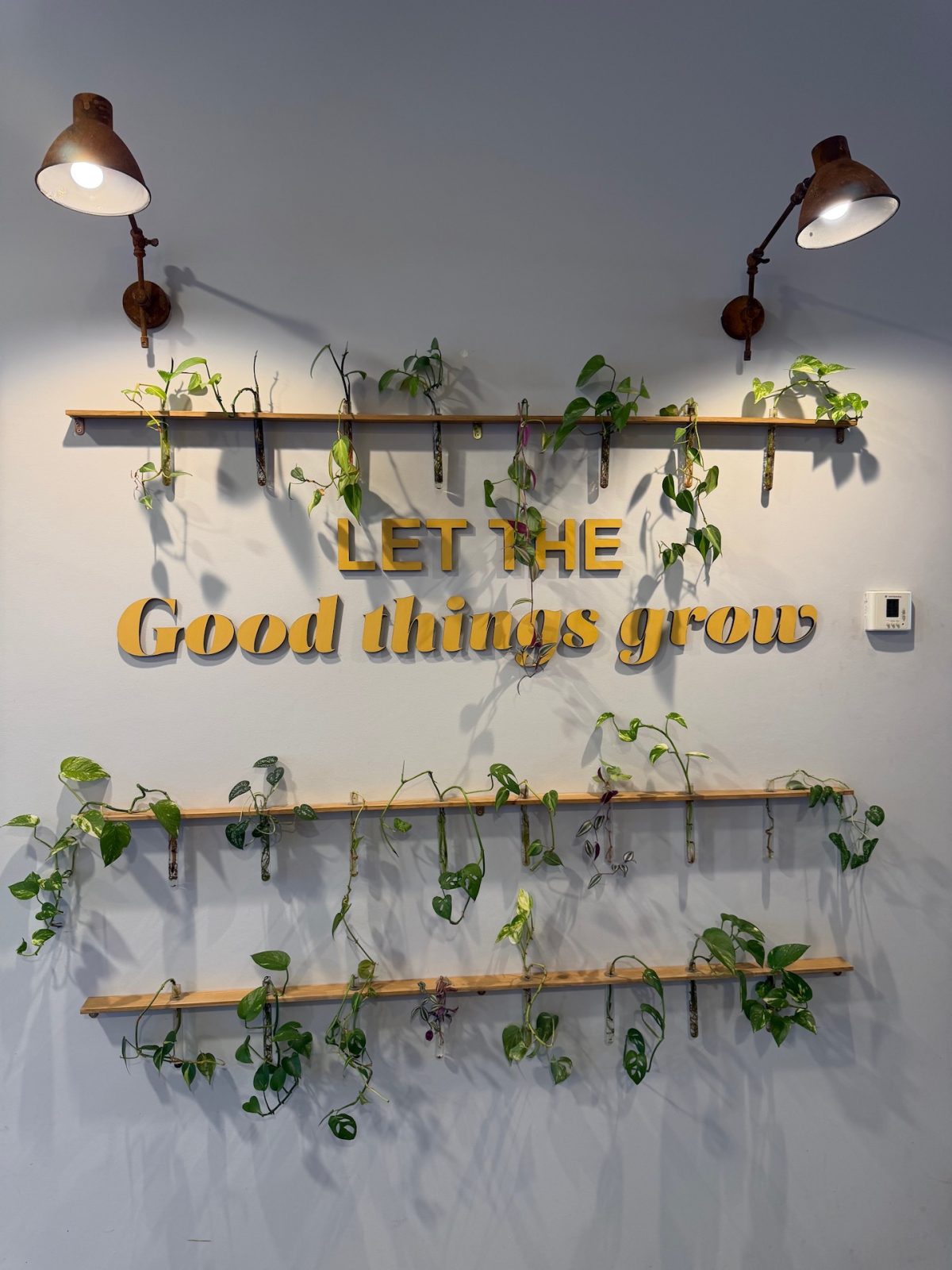 Délices Maiatza – Frühstück & Brunch in San Sebastián