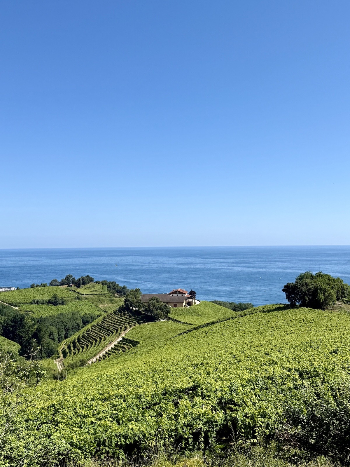 Txomin Etxaniz: Klassischer Txakoli aus Getaria