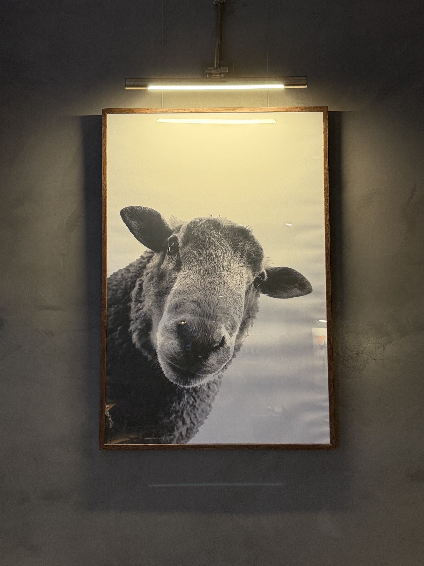 Bild mit Schafsmotiv im Restaurant Miga in Donostia-San Sebastián