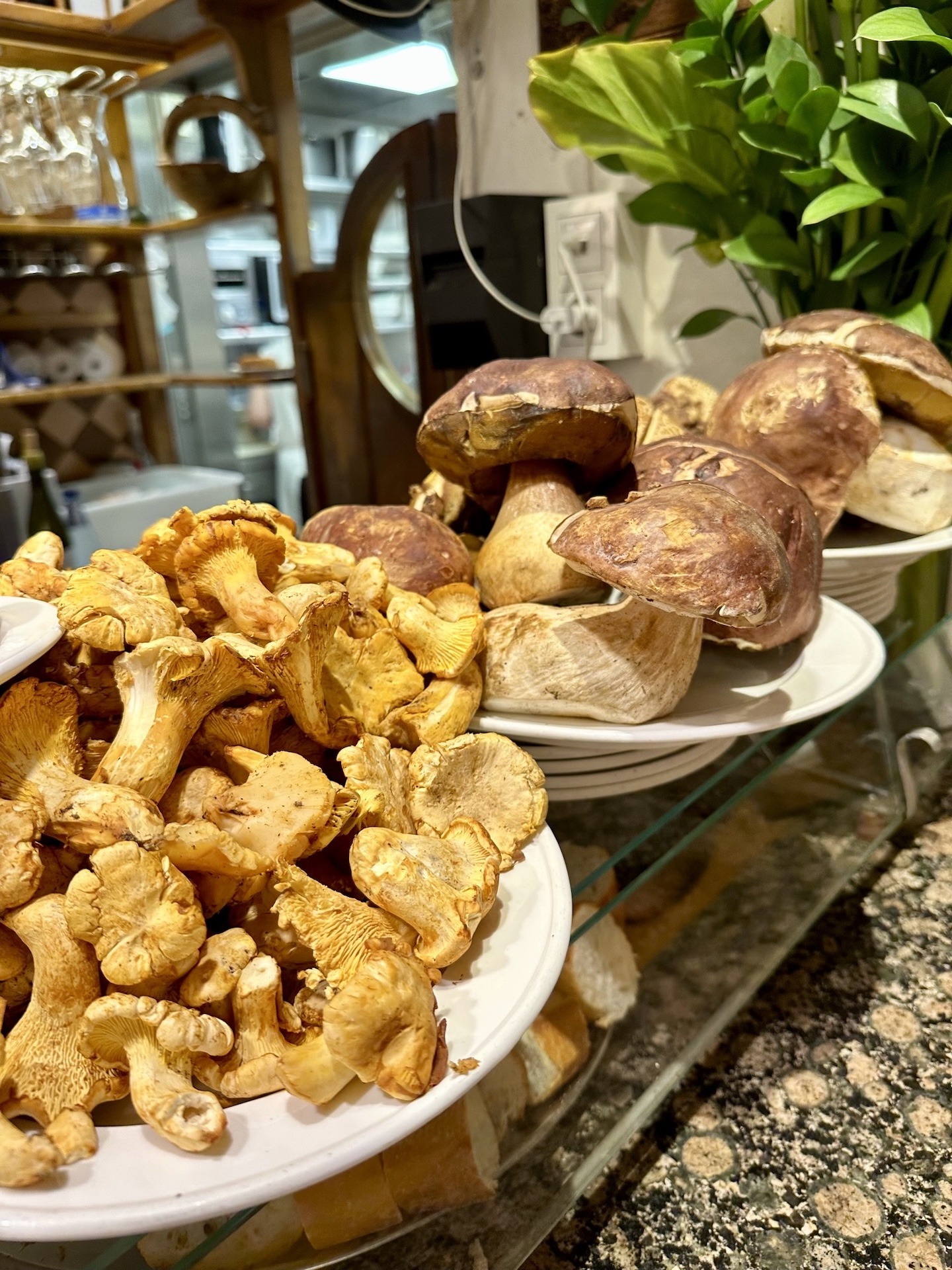 Steinpilze und Pfifferlinge auf der Theke der Pintxos-Bar Ganbara in San Sebastián