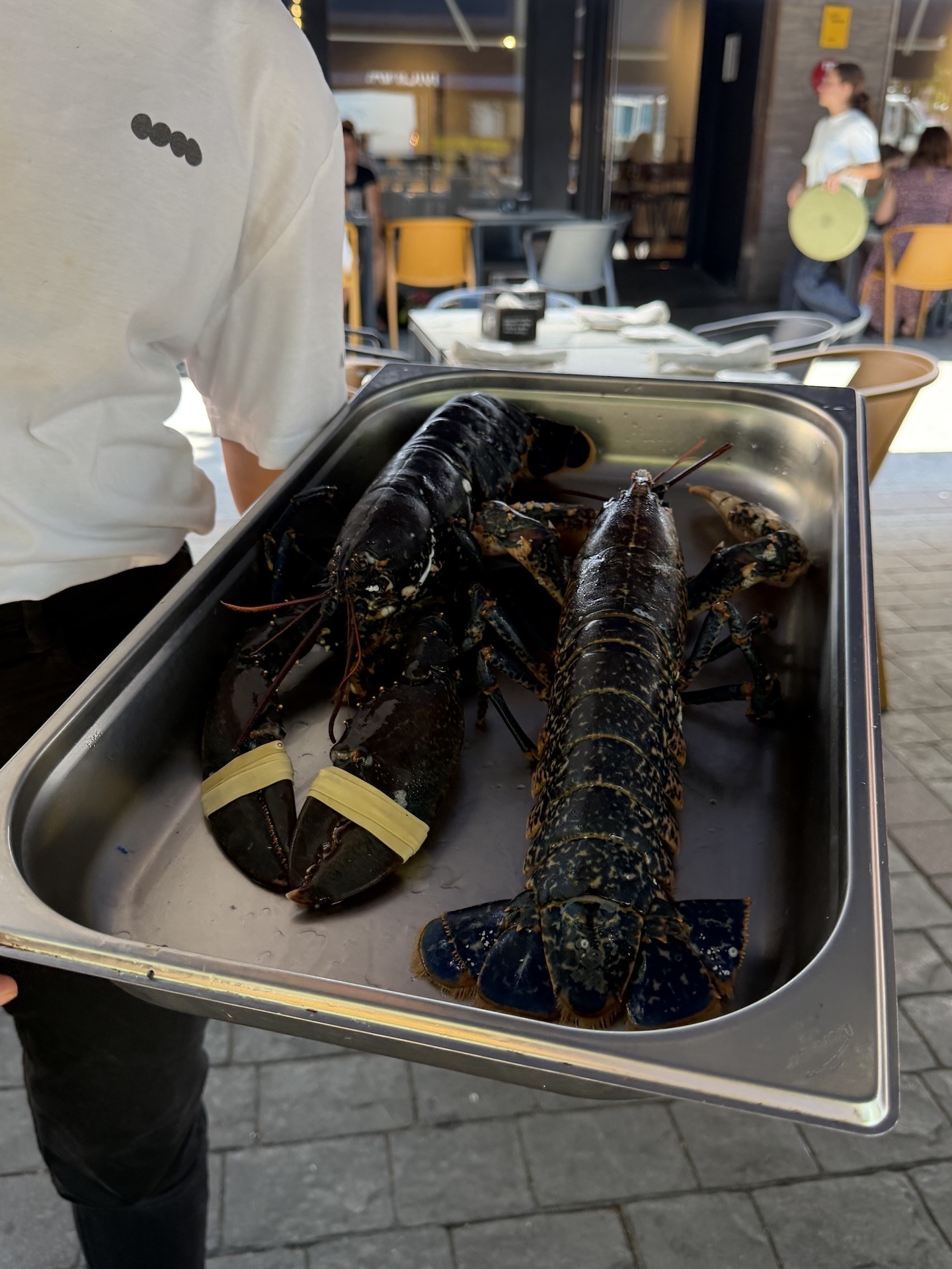 Frischer Hummer aus Getaria im Restaurant Muina in Zumaia.
