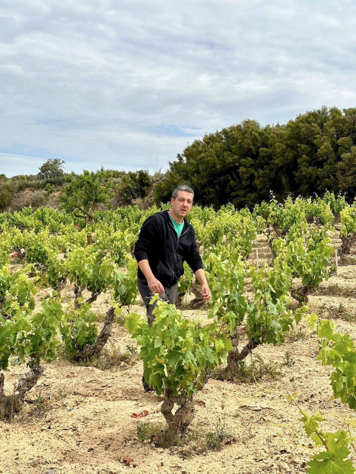 Tentenublo – Terroir-Weine von Roberto Oliván aus der Rioja